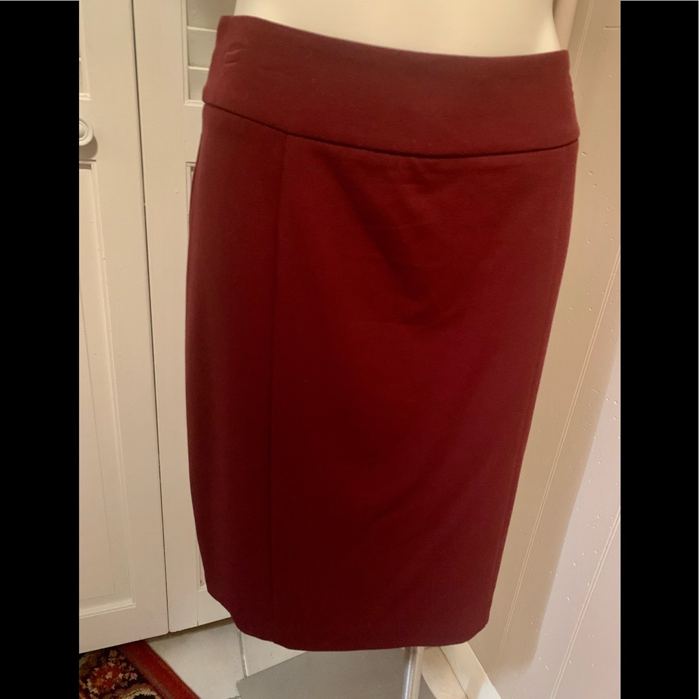 New York & Company skirt
